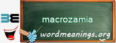 WordMeaning blackboard for macrozamia